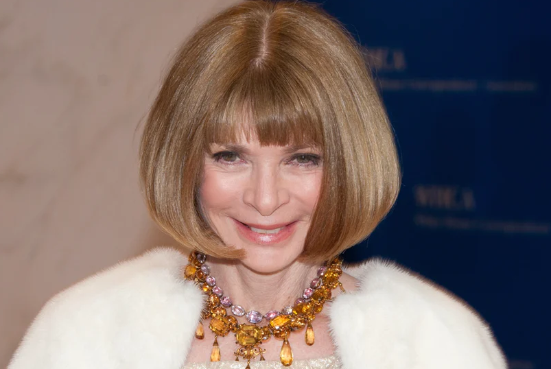 Anna Wintour Bio, Net Worth, Facts, Age, Height, Nationality, Married