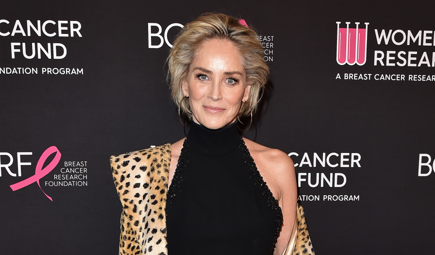 Sharon Stone Bio, Net Worth, Family, Age, Married, Husband ...