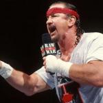 Terry Funk Famous For