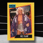 WWE Ric Flair American Professional Wrestler