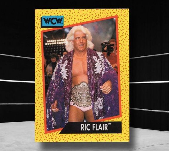 WWE Ric Flair American Professional Wrestler