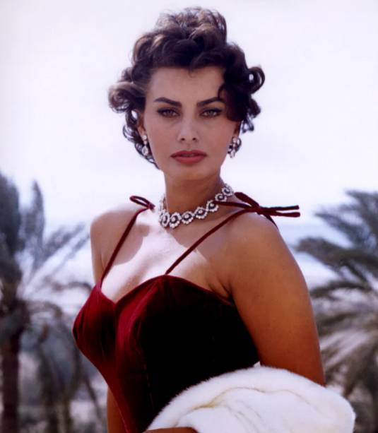 Sophia Loren during her young age