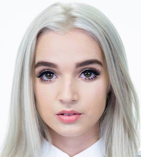 Poppy - Bio, Net Worth, Age, Facts, Wiki, Height, Singer, YouTuber ...