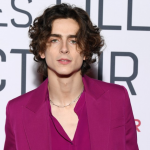 Timothee Chalamet, a professional actor