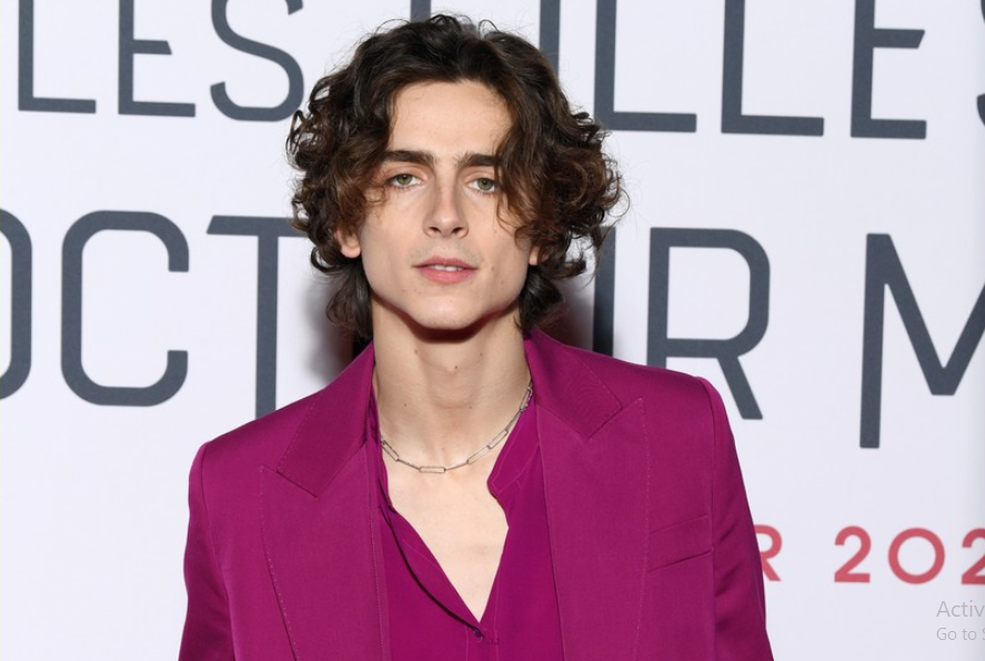 List of awards and nominations received by Timothée Chalamet - Wikipedia