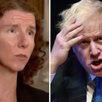 Labour Brexit U turn How Anneliese Dodds claimed second referendum is only way out