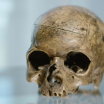 Nat Turner's Skull
