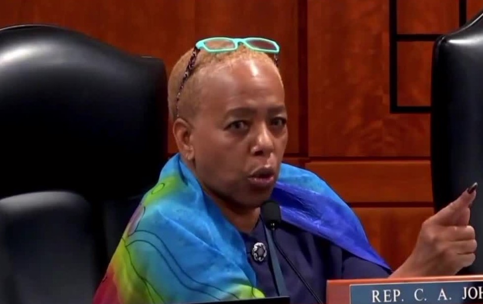 Rep Cynthia A. Johnson Bio, Net Worth, Salary, Husband, Age, Height