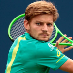 David Goffin, Highest ranked Belgian male and the first to reach the ATP top 10