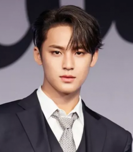 Kim Mingyu 