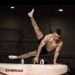 Max Whitlock, British artistic gymnast